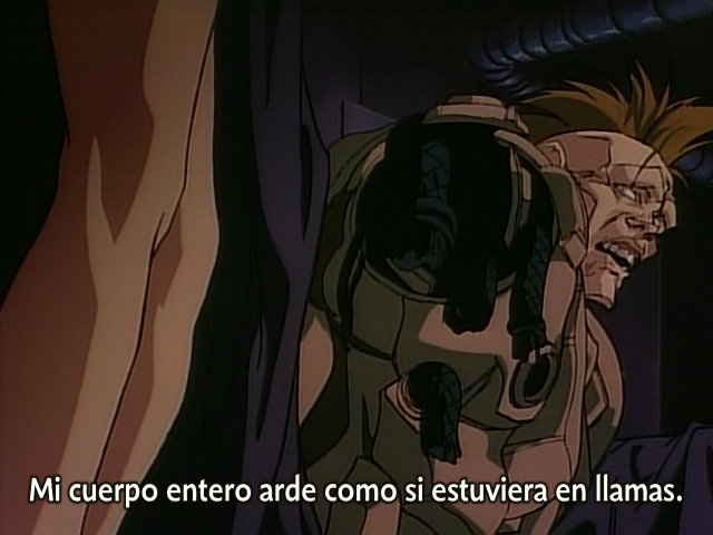 Gunnm (Anacrónico Fansub)